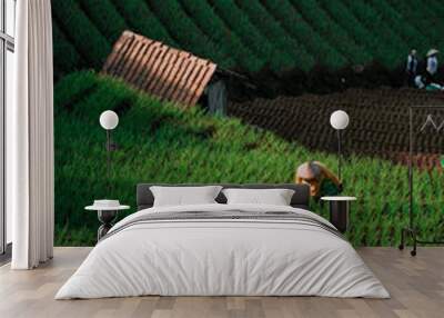 Green line pattern plantation landscape terracing of Argapura Majalengka Wall mural