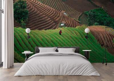 Green line pattern plantation landscape terracing of Argapura Majalengka Wall mural