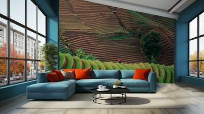 Green line pattern plantation landscape terracing of Argapura Majalengka Wall mural