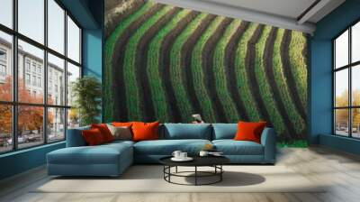 Green line pattern plantation landscape terracing of Argapura Majalengka Wall mural