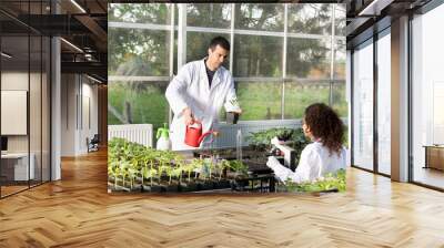 biologists with seedlings in greenhouse Wall mural