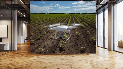 Drone flying above sunflower field Wall mural