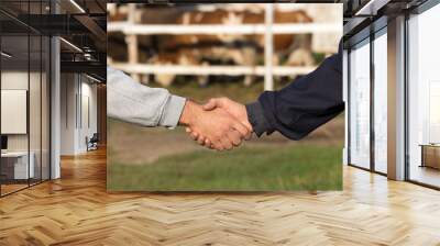 Farmers shaking hands in front o cows Wall mural