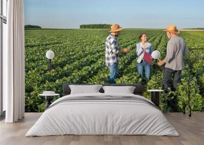 Female insurance sales rep and two farmers standing in soy field talking Wall mural