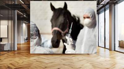 Horse vaccination Wall mural