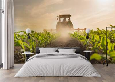 Tractor harrowing corn field Wall mural