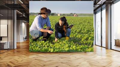 Two farmers in soybean field Wall mural