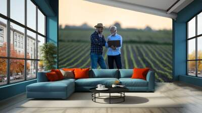 Two men standing in soy field talking Wall mural