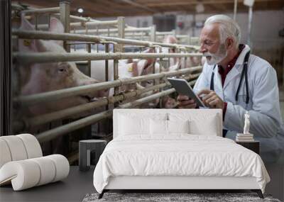 Veterinarian with tablet in pigpen Wall mural