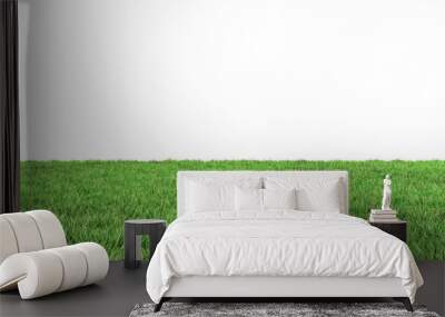 Green grass field isolated on white Wall mural