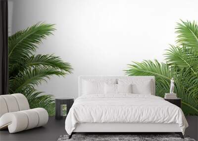 Palm leaves isolated on white Wall mural