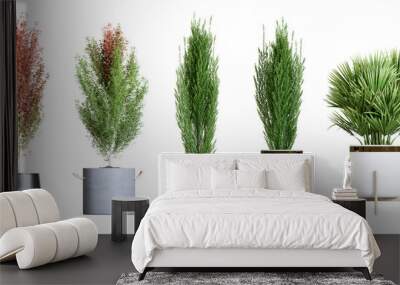 plant in a pot Iin 3d rendering Wall mural