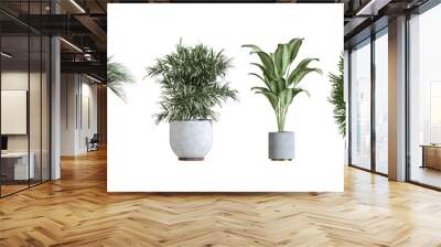 Plant in a pot isolated Wall mural