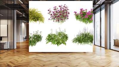 Plant in pot isolated on white	
 Wall mural