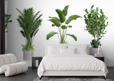 Plants in 3d rendering. Beautiful plant in 3d rendering isolated	
 Wall mural