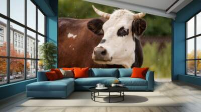 Cow Wall mural