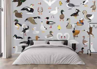 Animal Duck Swan Goose Characters Cartoon Vector Wall mural