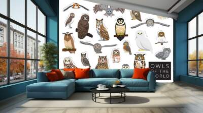 Birds Owls of the World Set Cartoon Vector Character Wall mural