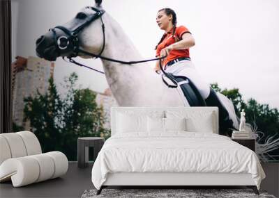 Focused horsewoman riding grey horse in paddock Wall mural