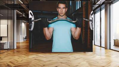 Muscular bodybuilder man doing exercises with dumbbell in gym, athletic man pumping up muscules with dumbbell, attractive young man training indoor, man doing heavy dumbbell exercise for biceps Wall mural