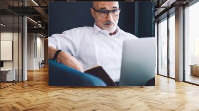 Senior bearded man working on laptop Wall mural