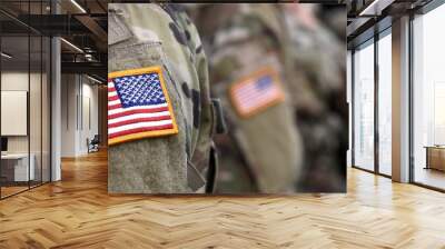 Veterans Day. US soldier. US Army. The United States Armed Forces. American Military Wall mural