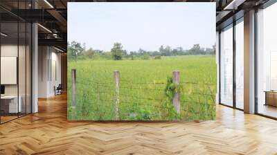 Traditional fence with green farm field against a cloudy sky background. Wall mural