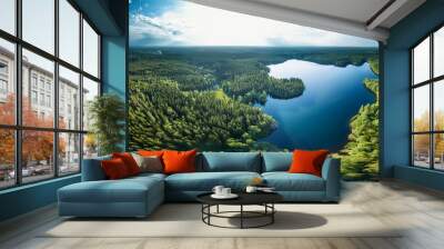 forest lake top view, landscape nature view forest, background Wall mural