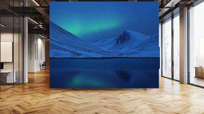 Aurora and stars in a magic sky. Copy space between the Northern Lights and the sky. Wall mural