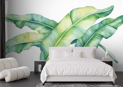 This illustration shows monstera leaves, banana leaves, and jungle leaves with a grungy black texture. Wall mural