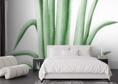 Grass clump 1.eps Wall mural