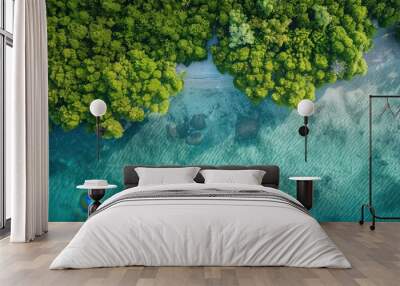 Aerial View of Lush Green Forest and Clear Ocean Water Wall mural