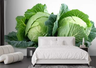 Cabbage on isolated white background. Wall mural