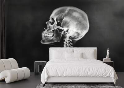 Film x-ray skull and cervical spine lateral view Wall mural