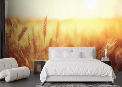 Golden Wheat Field Under a Sunset Glow Wall mural