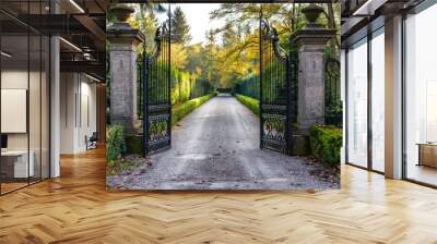 Metal driveway property entrance gates set in concrete fence with garden trees in background Wall mural