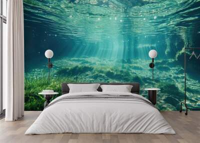 Spring water. Underwater freshwater. Mysterious freshwater river. Wall mural