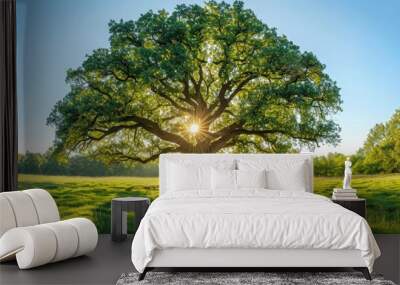 The sun shining through a majestic green oak tree on a meadow, with clear blue sky in the background, panorama format Wall mural