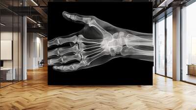 X-ray hand / Many others X-ray images in my portfolio. Wall mural