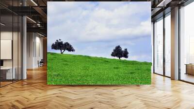 Two trees on a green meadow with blue sky, landscape Wall mural