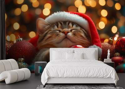 cat with christmas hat Wall mural