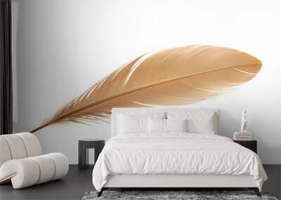 feather isolated on white Wall mural