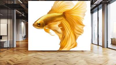 gold fish isolated on white Wall mural