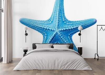 starfish isolated on white Wall mural