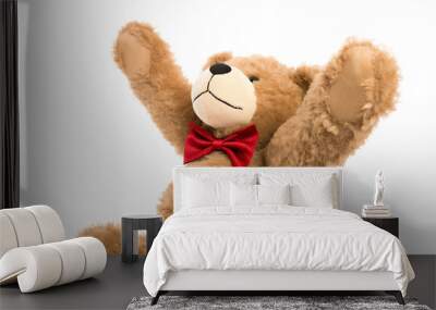 teddy bear on white background Wall mural