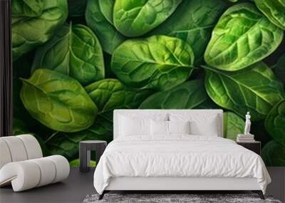 Background green food vegetable organic fresh raw plant leaves spinach nature healthy salad Wall mural