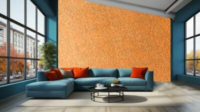 colored decorative coating with fine stone abrasive, rough background Wall mural