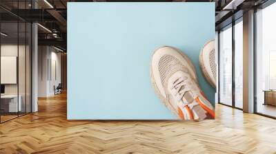 Colorful shoes on the blue backround Wall mural