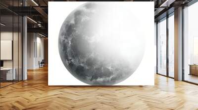 moon in the night Wall mural