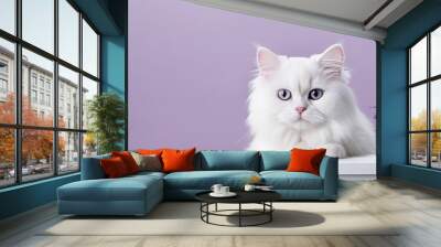 Adorable white kitten with curious gaze. Cute cat portrait. Furry friend with playful eyes and pretty close up Wall mural